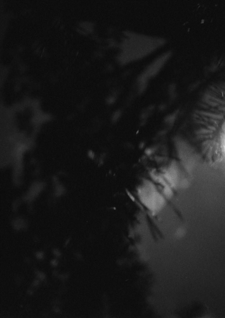 filter tree © Lennart Oskar Schreiber