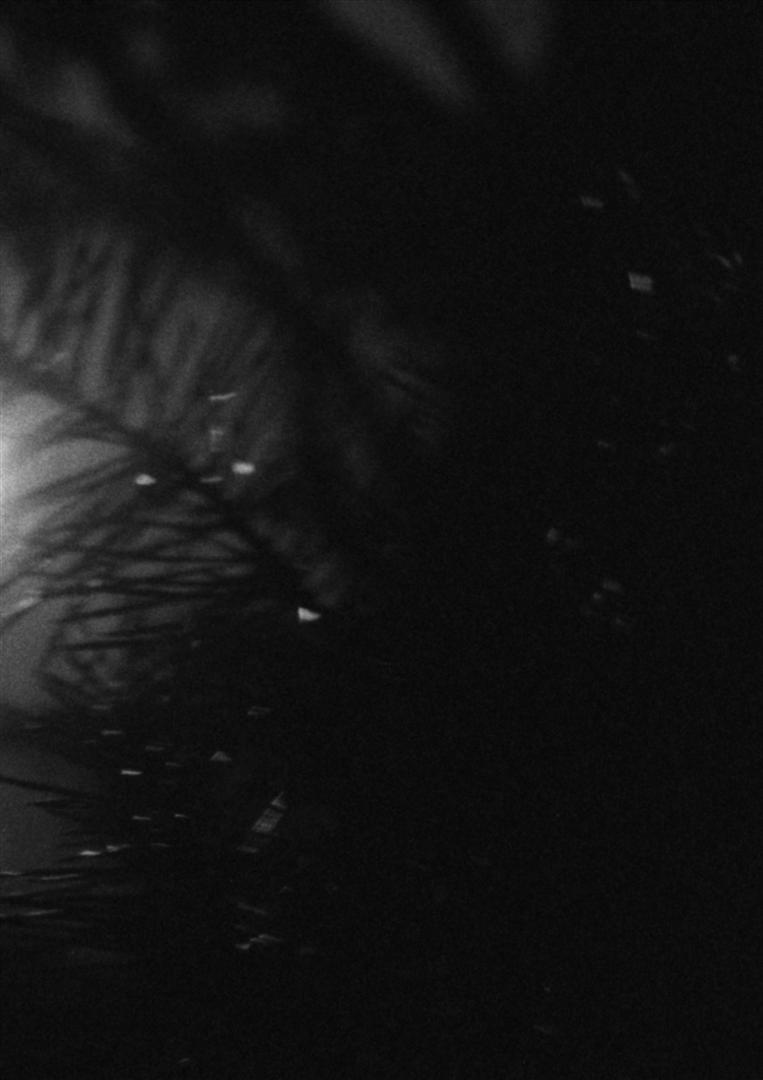 filter tree © Lennart Oskar Schreiber