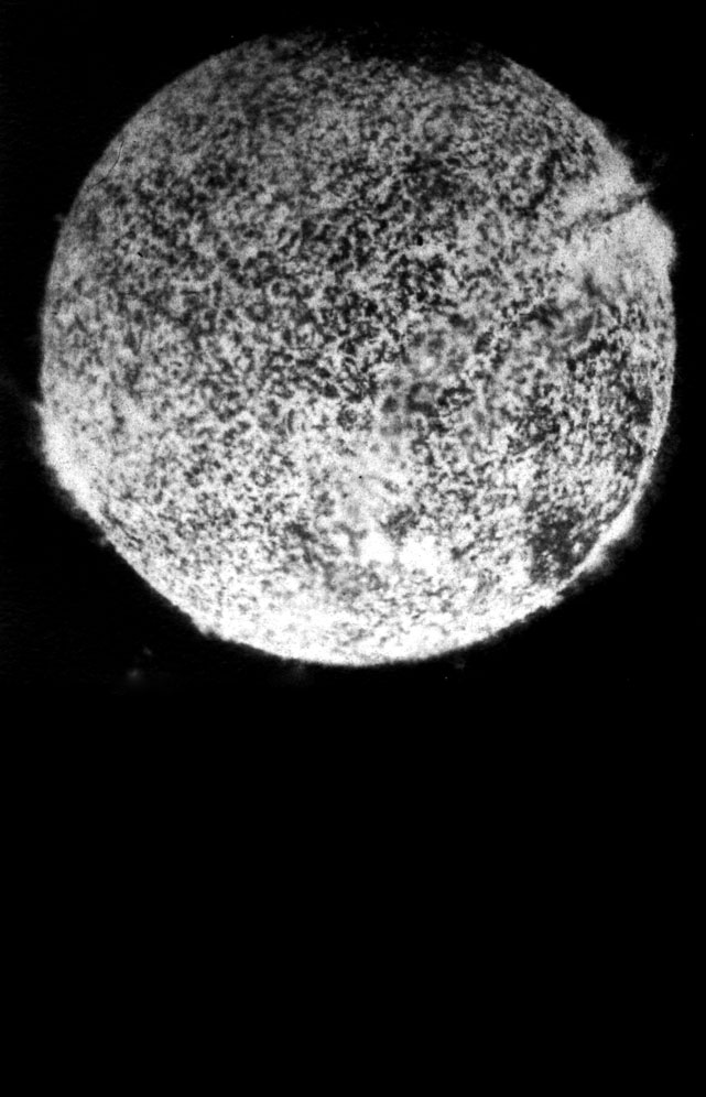 sun - cyanotypie © Lennart Oskar Schreiber