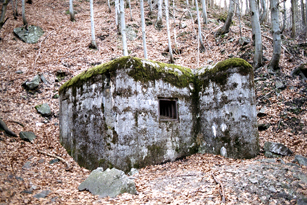 domov, domov © Lennart Oskar Schreiber